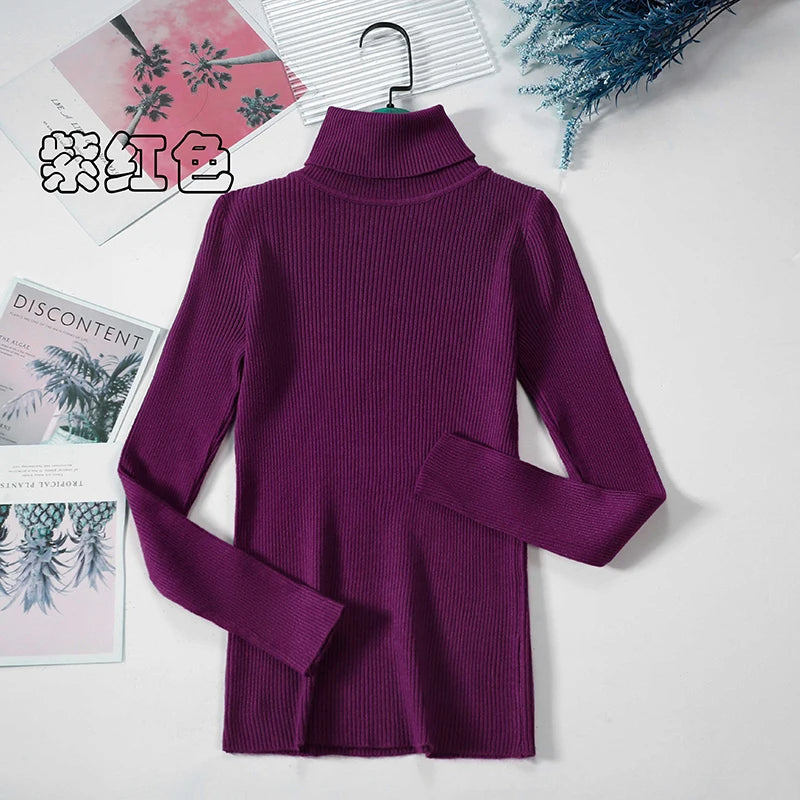 Elegant Turtleneck Pullover Sweater™
