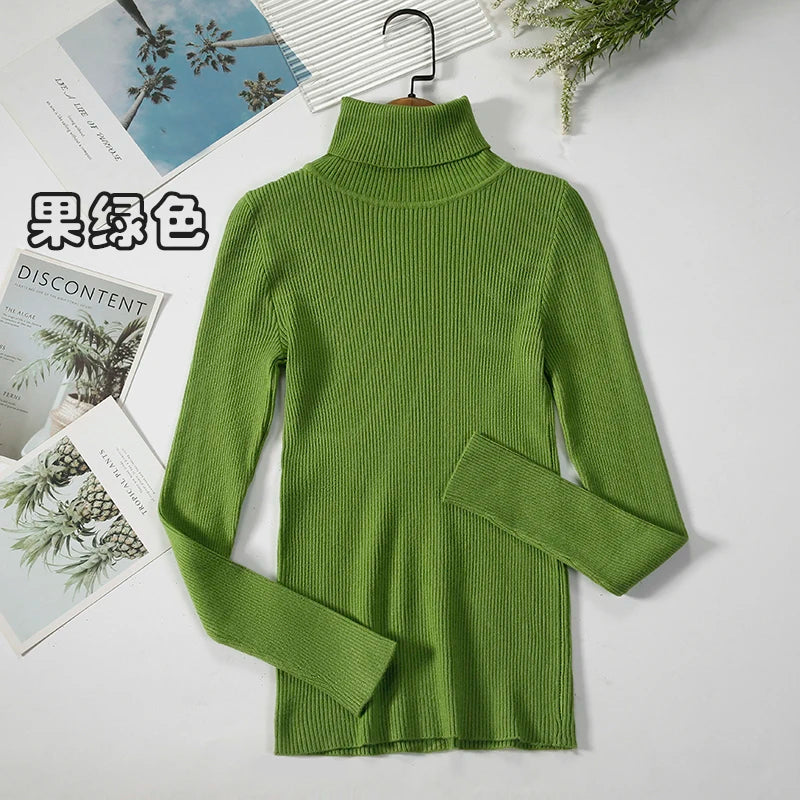 Elegant Turtleneck Pullover Sweater™