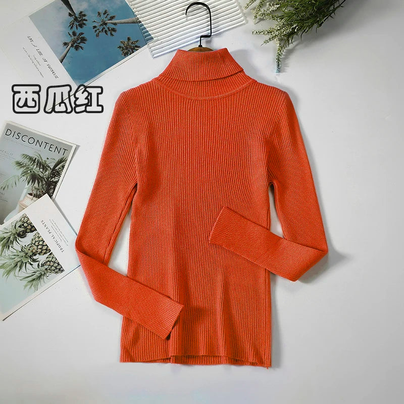 Elegant Turtleneck Pullover Sweater™