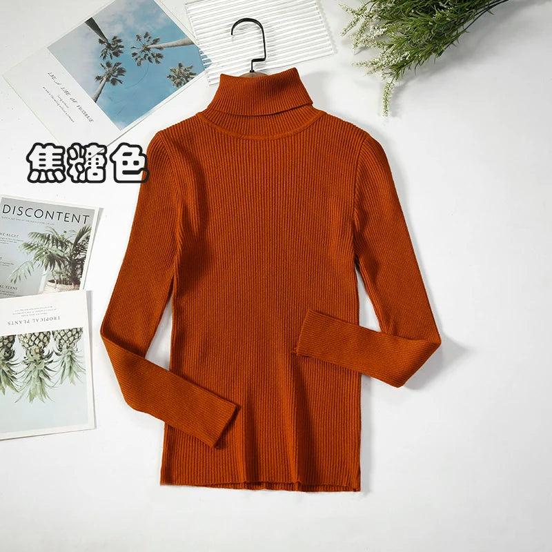 Elegant Turtleneck Pullover Sweater™