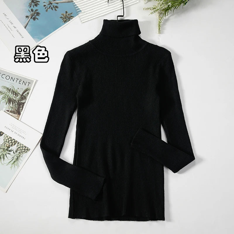 Elegant Turtleneck Pullover Sweater™