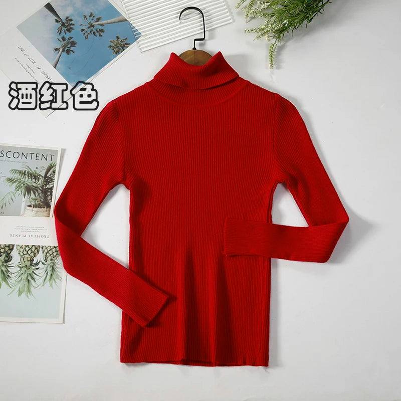 Elegant Turtleneck Pullover Sweater™
