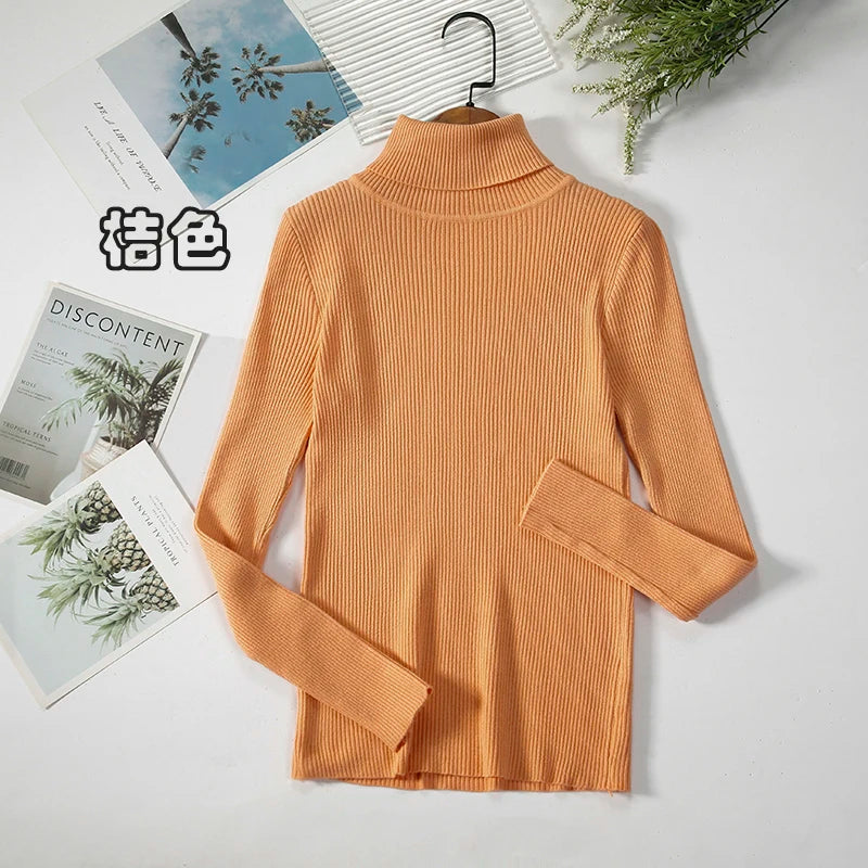 Elegant Turtleneck Pullover Sweater™