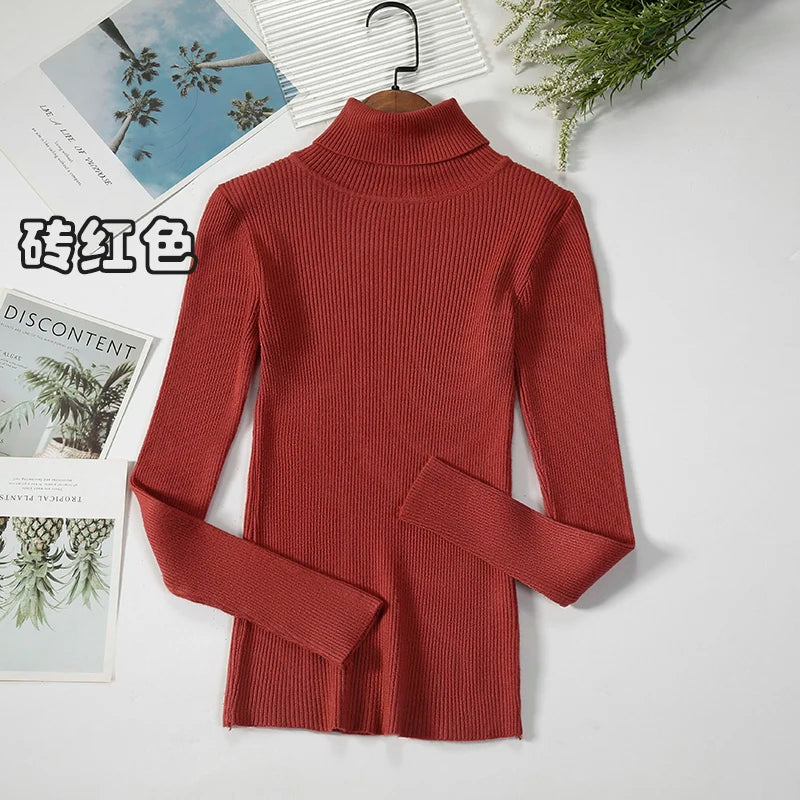 Elegant Turtleneck Pullover Sweater™