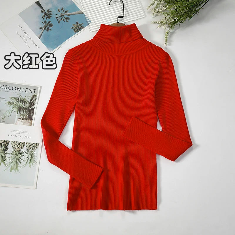 Elegant Turtleneck Pullover Sweater™