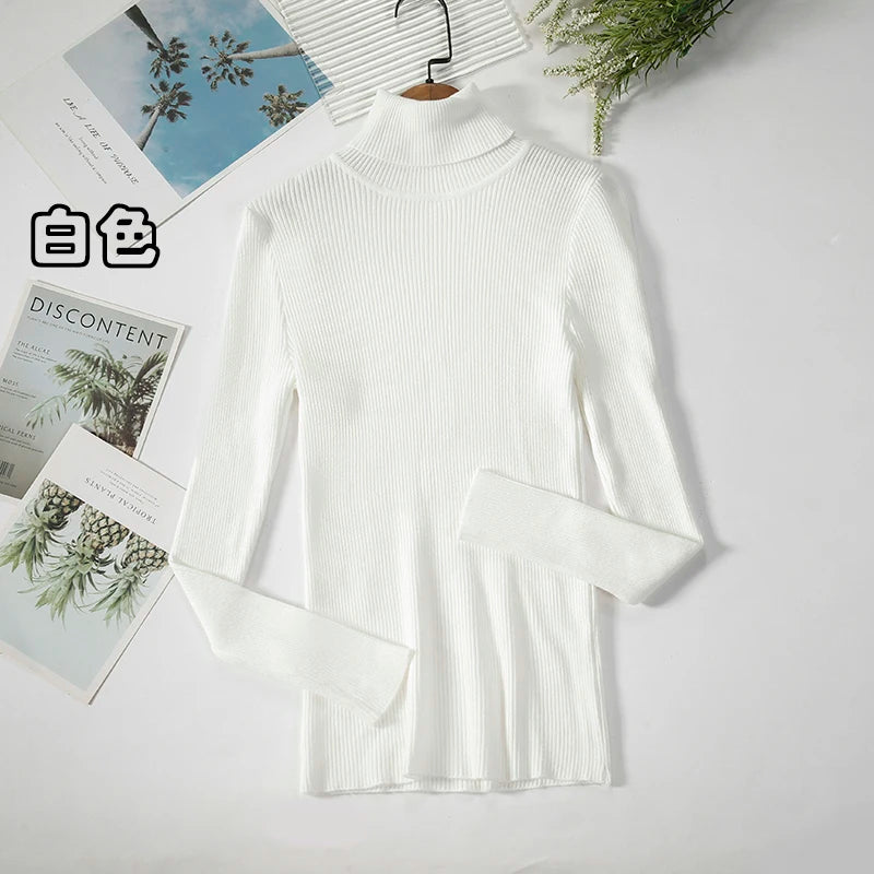 Elegant Turtleneck Pullover Sweater™