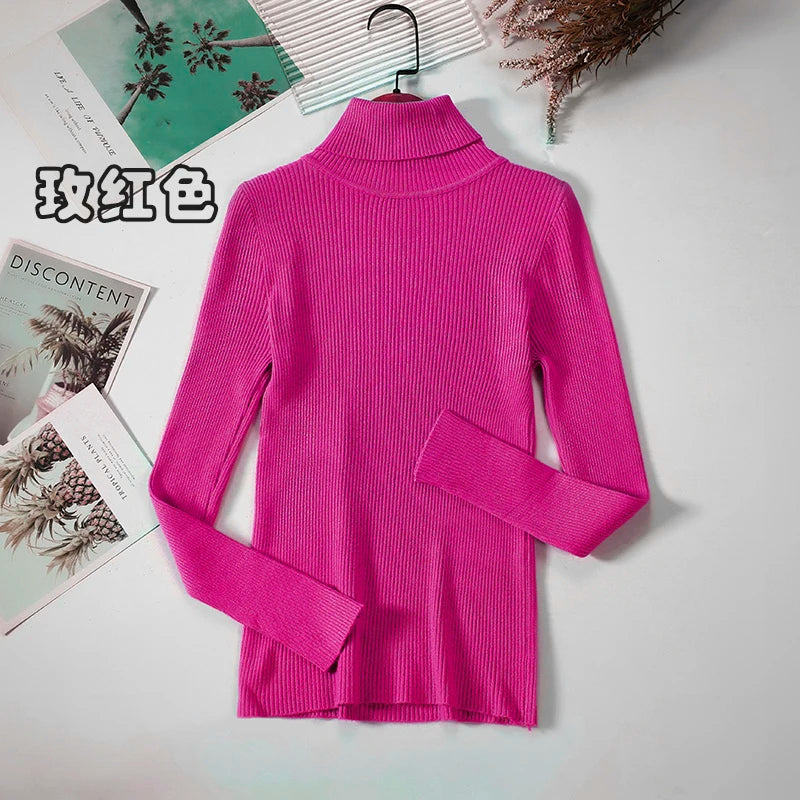 Elegant Turtleneck Pullover Sweater™