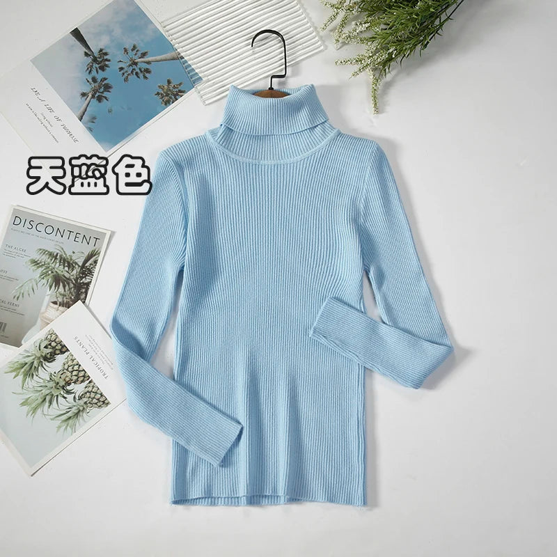 Elegant Turtleneck Pullover Sweater™
