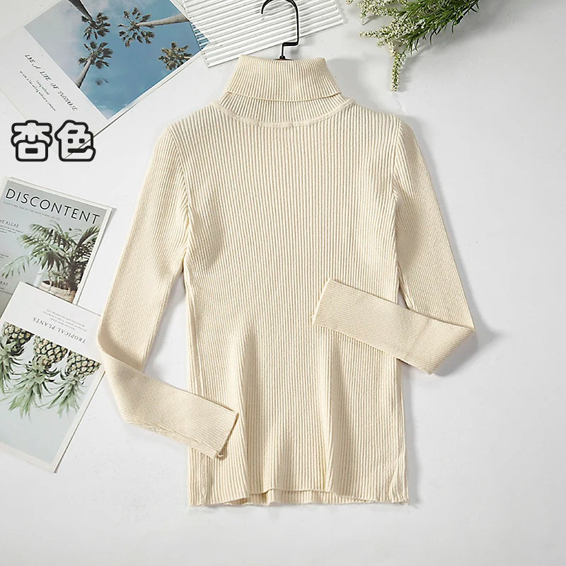 Elegant Turtleneck Pullover Sweater™