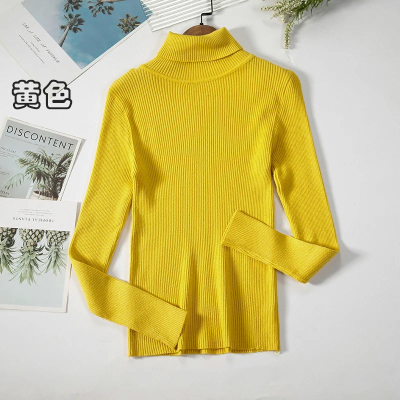 Elegant Turtleneck Pullover Sweater™