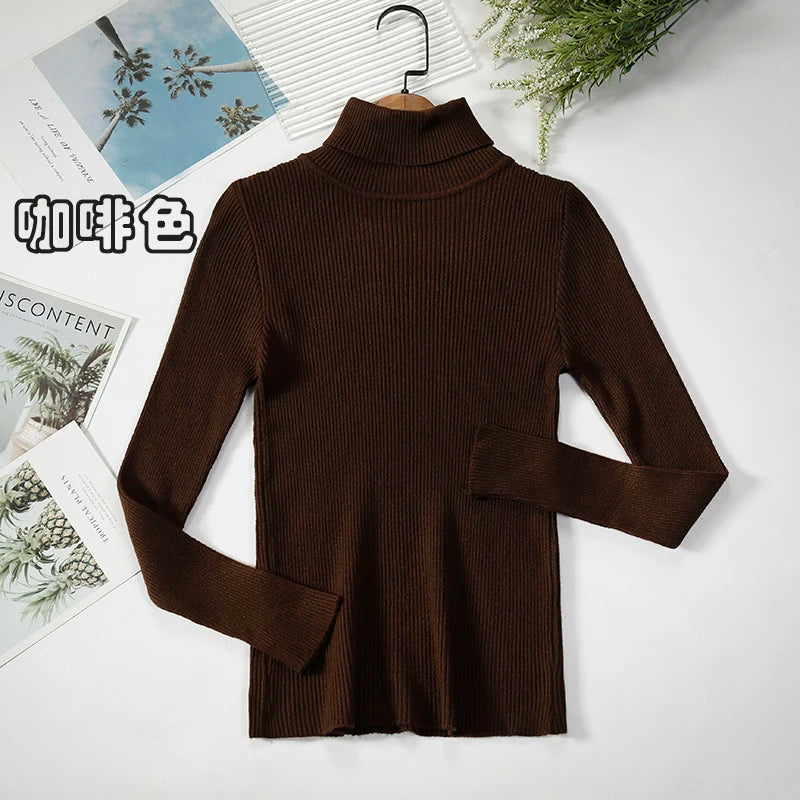 Elegant Turtleneck Pullover Sweater™