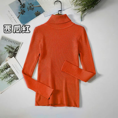 Elegant Turtleneck Pullover Sweater™