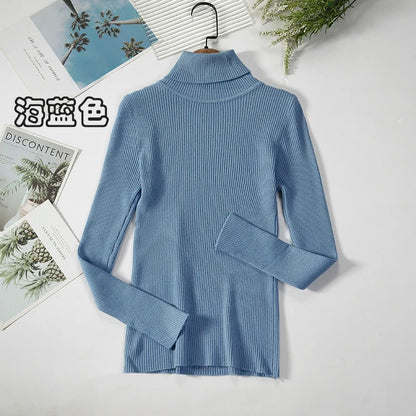 Elegant Turtleneck Pullover Sweater™