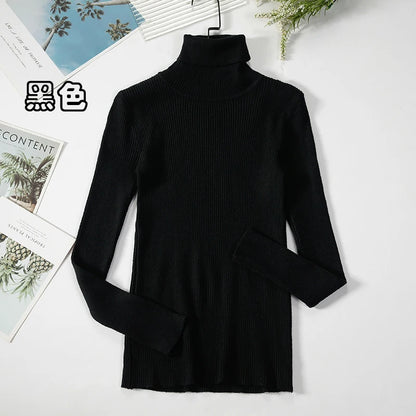 Elegant Turtleneck Pullover Sweater™