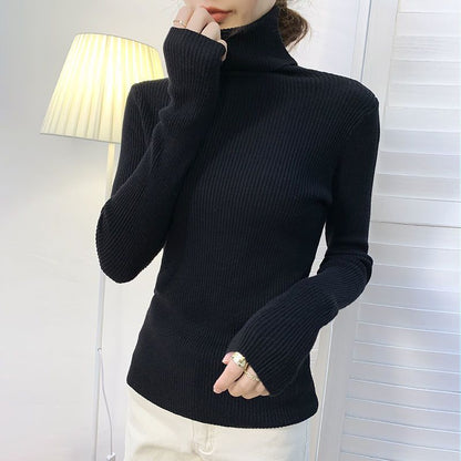 Elegant  Korean Turtleneck Pullover Sweater