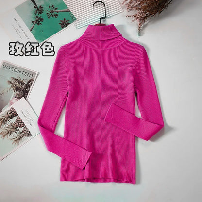 Elegant Turtleneck Pullover Sweater™