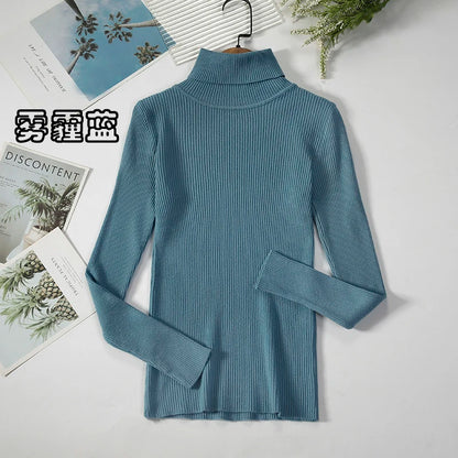 Elegant Turtleneck Pullover Sweater™