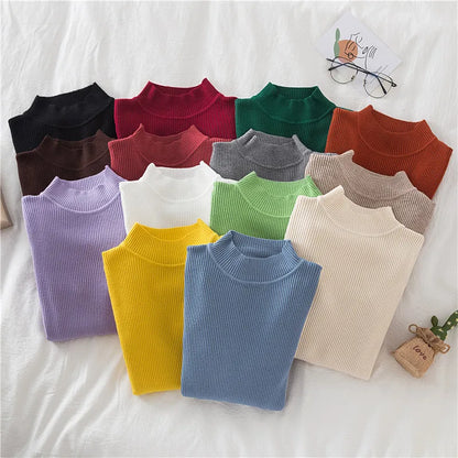 Elegant  Korean Turtleneck Pullover Sweater
