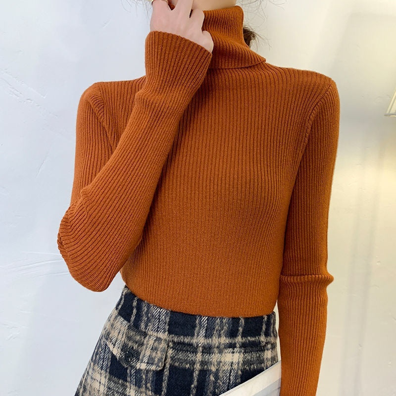 Elegant  Korean Turtleneck Pullover Sweater