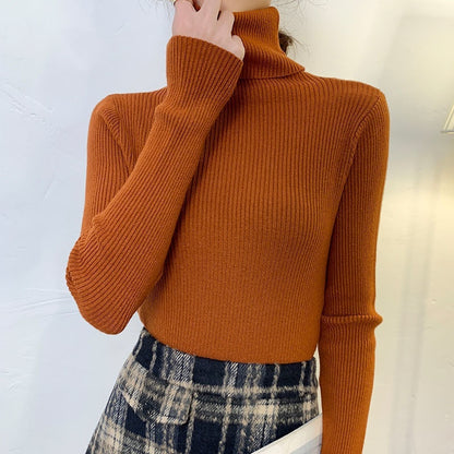 Elegant  Korean Turtleneck Pullover Sweater