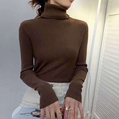 Elegant  Korean Turtleneck Pullover Sweater