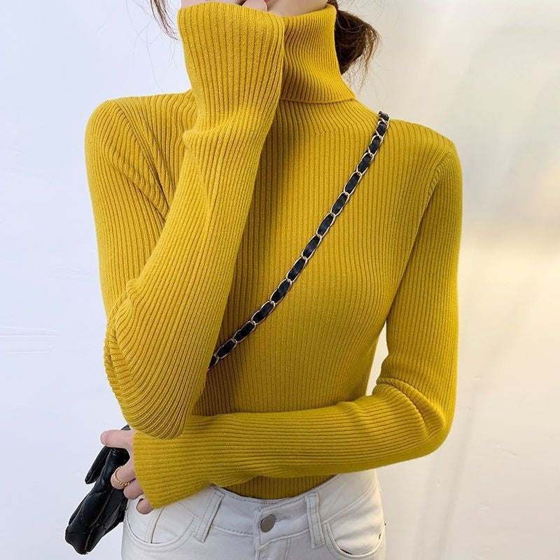 Elegant  Korean Turtleneck Pullover Sweater