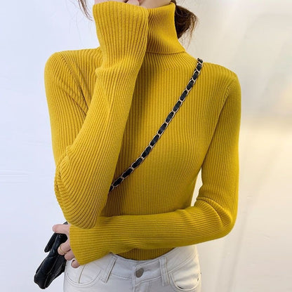 Elegant  Korean Turtleneck Pullover Sweater